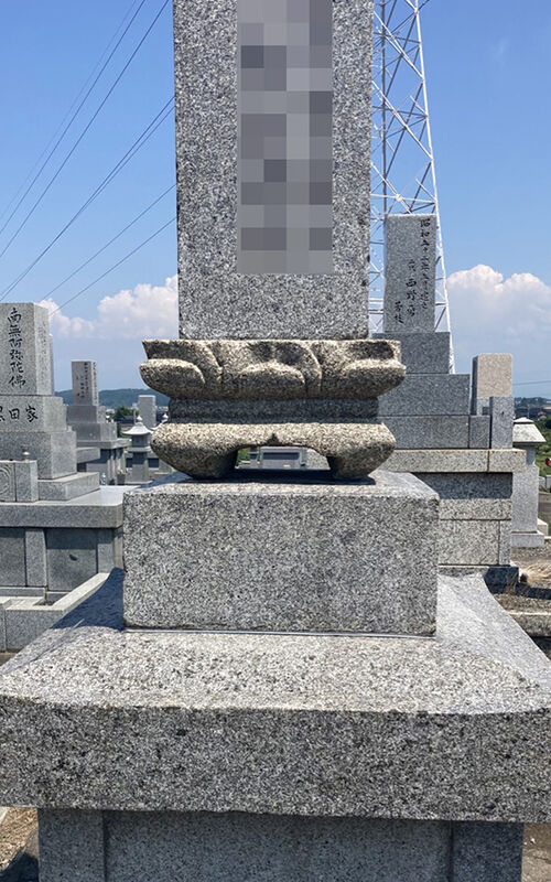 洗浄6_Af